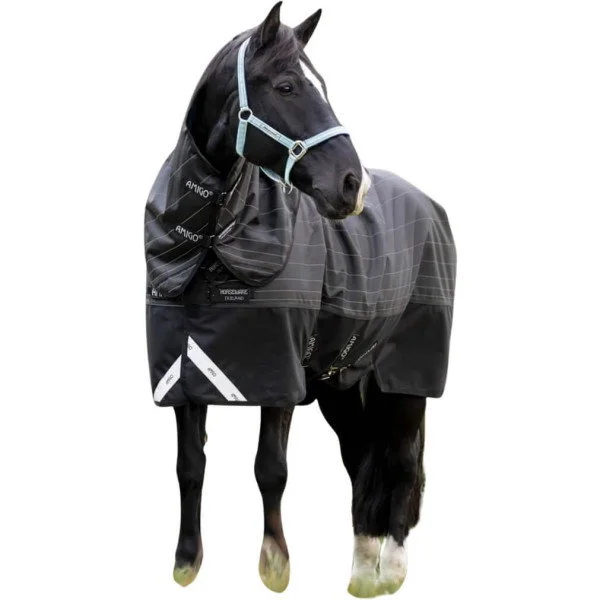 fundis-equestrian202607250545403330194