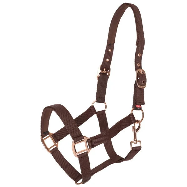 fundis-equestrian202607250545503330211