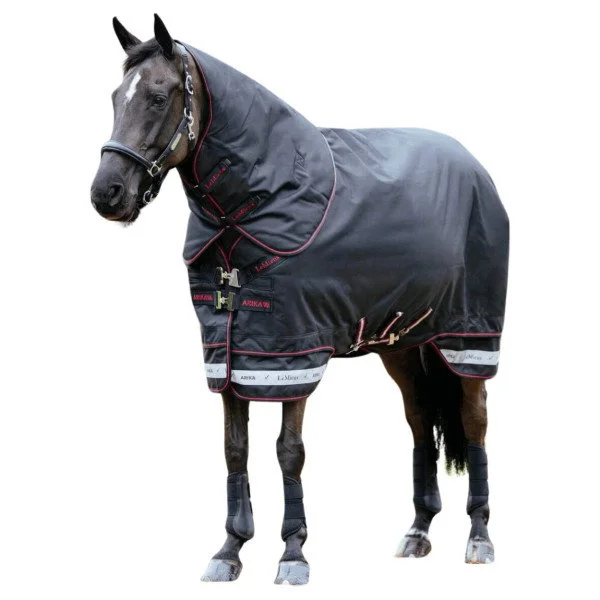 fundis-equestrian202607250546203330261