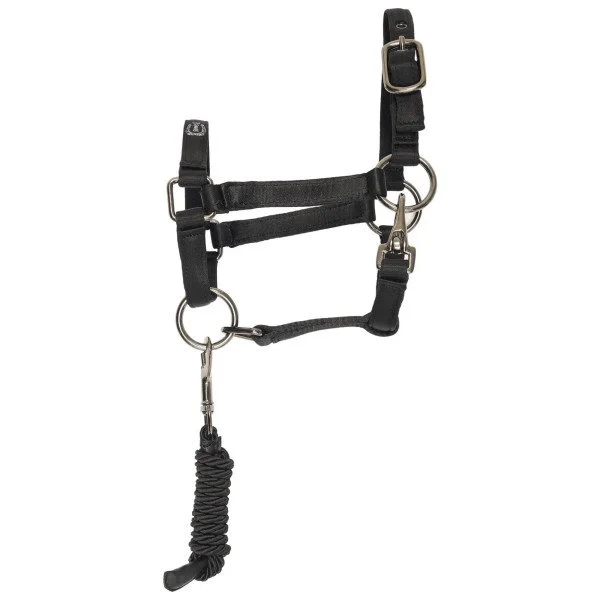 fundis-equestrian202607250546273330271