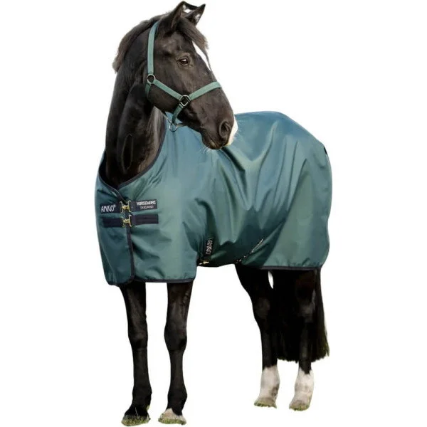 fundis-equestrian202607250546303330279