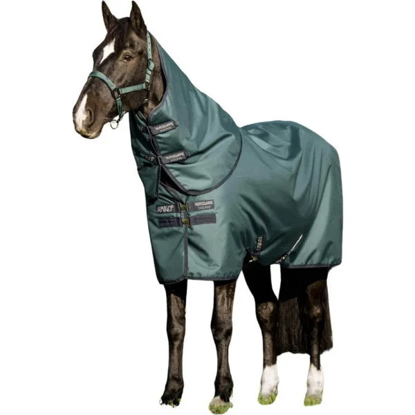 fundis-equestrian202607250546313330280