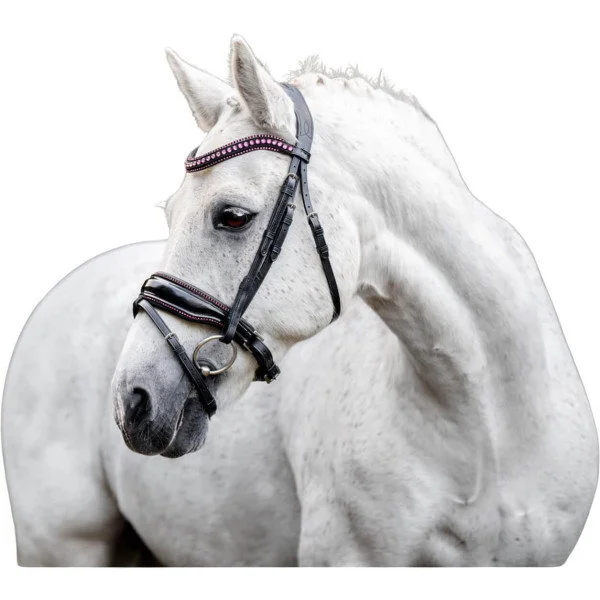 fundis-equestrian202607250547583330434