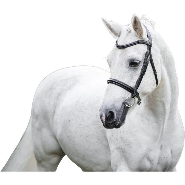 fundis-equestrian202607250547583330435