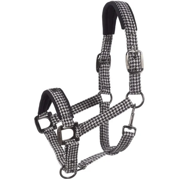 fundis-equestrian202607250549243330583