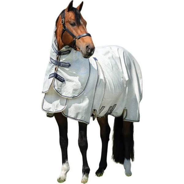 fundis-equestrian202607250551053330723