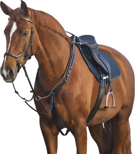 fundis-equestrian202607250552063330817