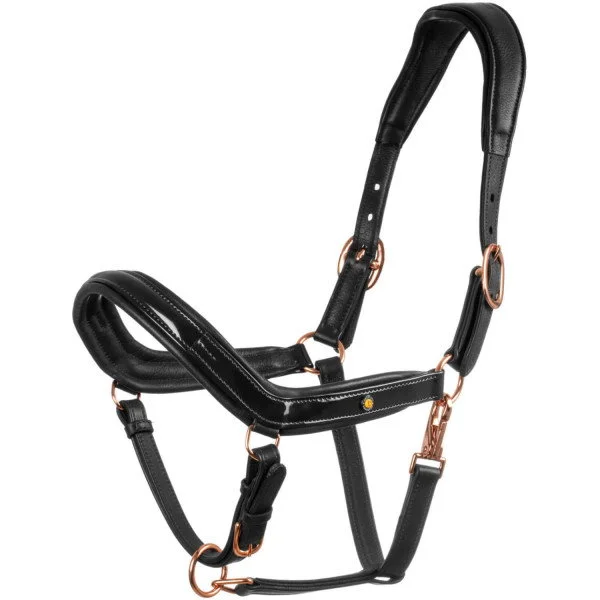 fundis-equestrian202607250554433331065