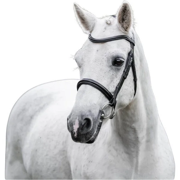 fundis-equestrian202607250558533331446