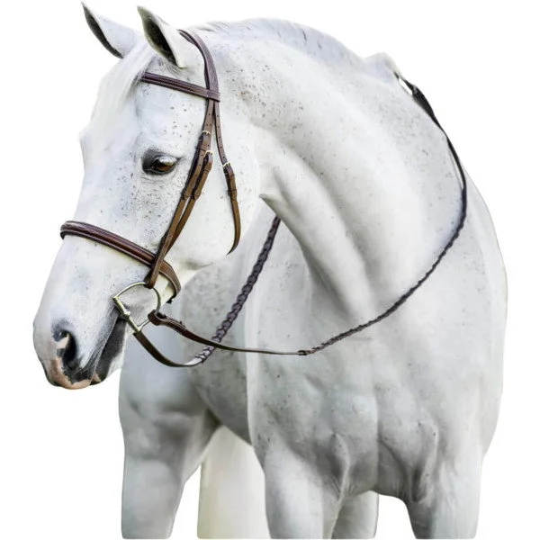 fundis-equestrian202607250558533331447