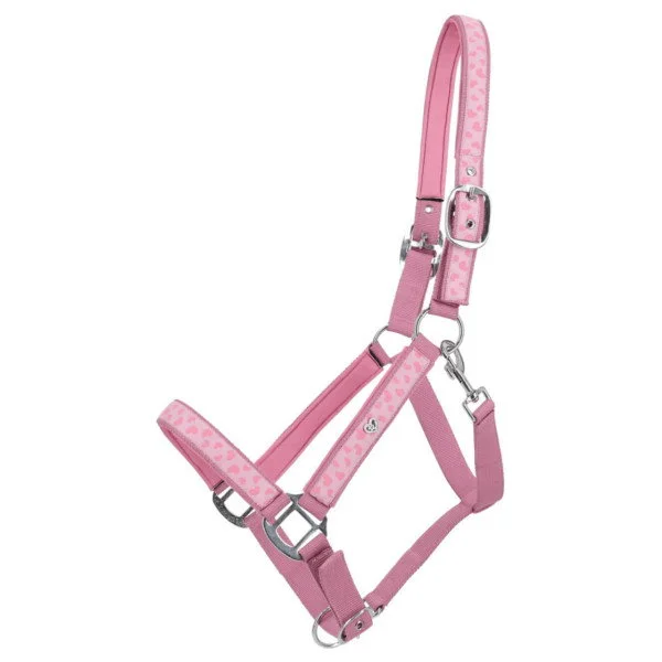 fundis-equestrian202607250601043331629