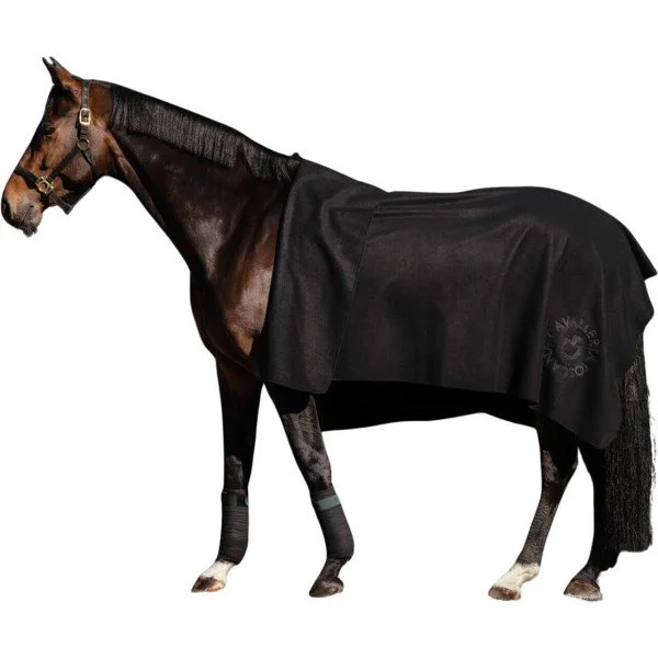 fundis-equestrian202607250601083331635
