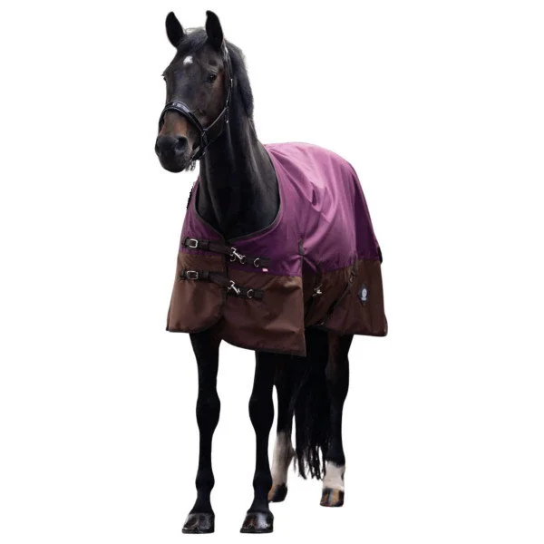 fundis-equestrian202607250602503331806