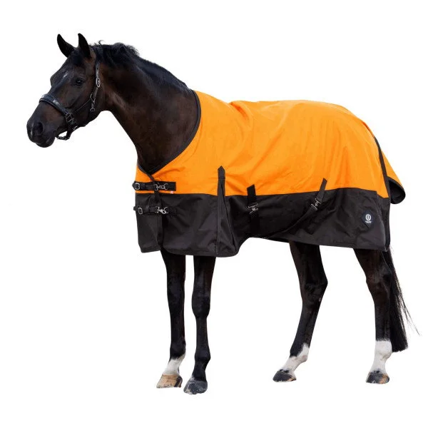 fundis-equestrian202607250603073331831