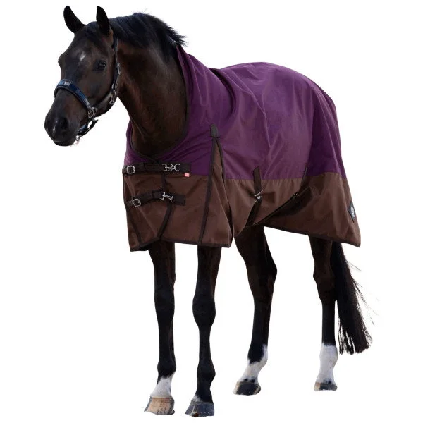 fundis-equestrian202607250603133331838