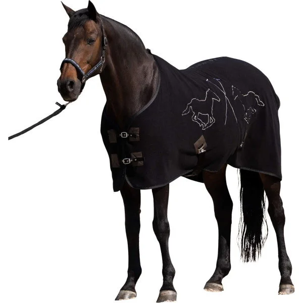 fundis-equestrian202607250604243331948