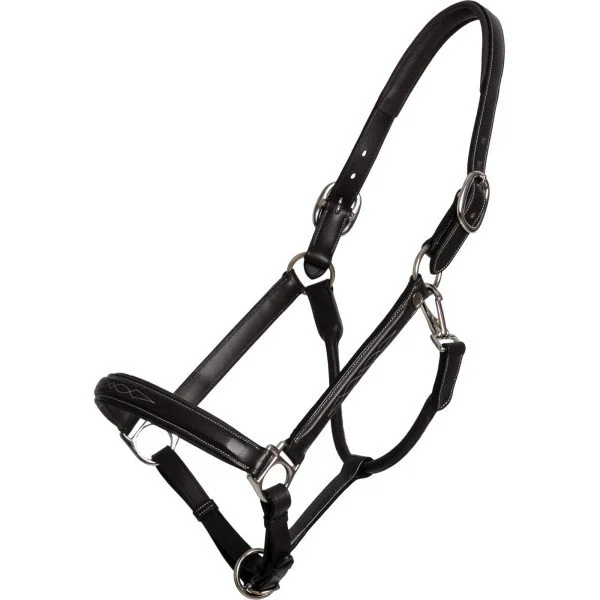 fundis-equestrian202607250605423332060
