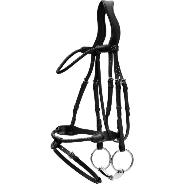 fundis-equestrian202607250605493332068