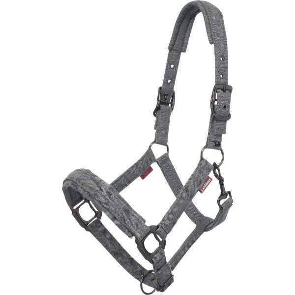 fundis-equestrian202607250605553332079
