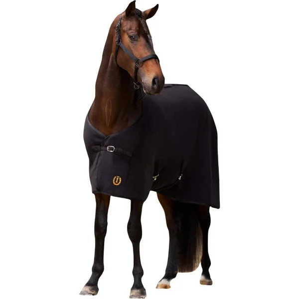 fundis-equestrian202607250610153332435