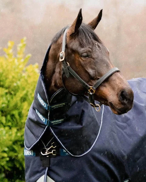 fundis-equestrian202607250611543332565