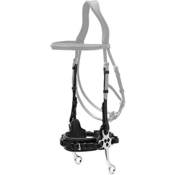 fundis-equestrian202607250612273332607