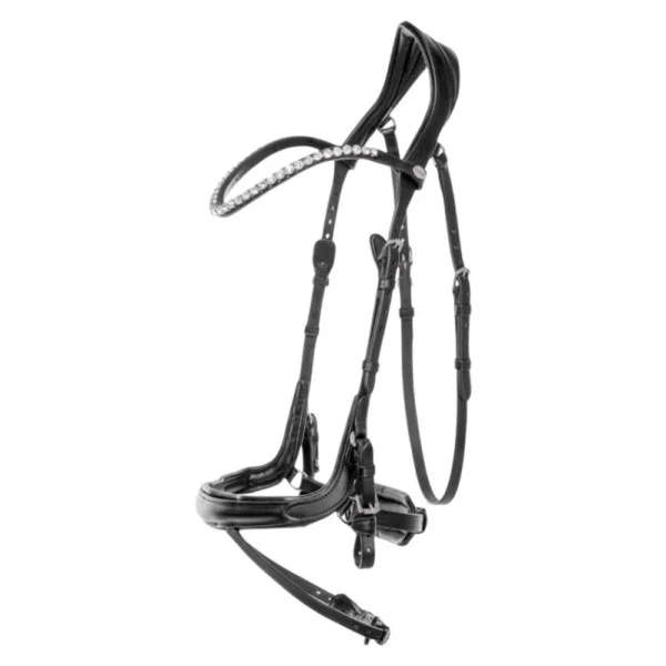 fundis-equestrian202607250612383332620