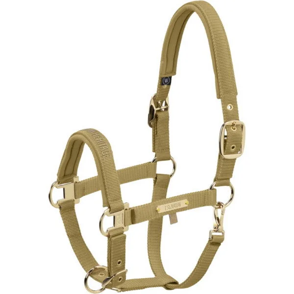 fundis-equestrian202607250615093332838