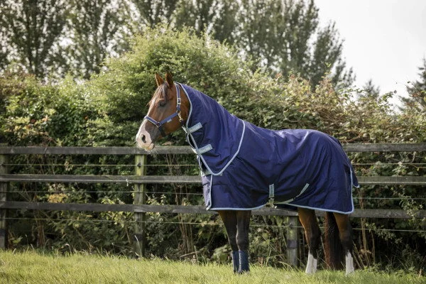 fundis-equestrian202607250615263332862
