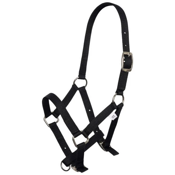 fundis-equestrian202607250616013332925