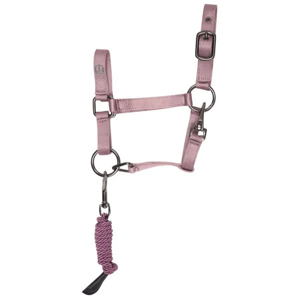 fundis-equestrian202607250616283332964
