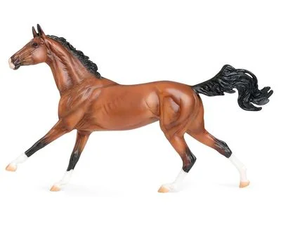 horsesaddleshop202607241921253260778