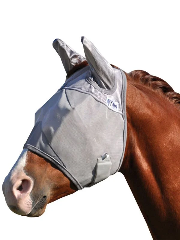 horsesaddleshop202607241924443261362