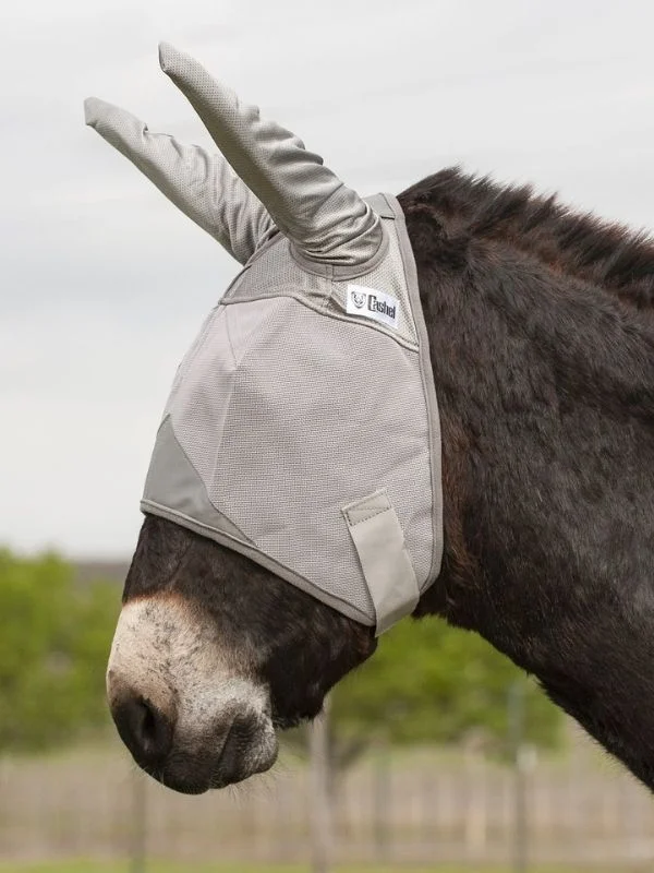 horsesaddleshop202607241932453262720