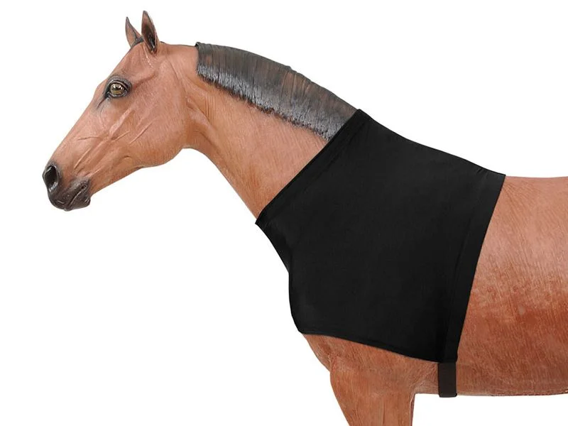 horsesaddleshop202607241952093265485