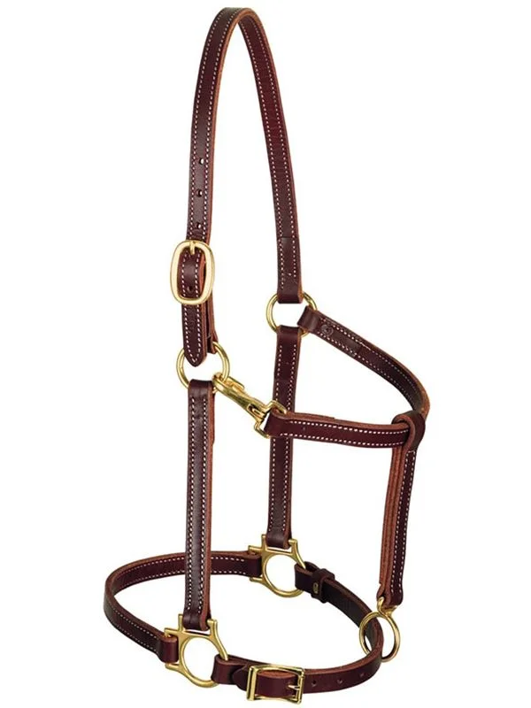 horsesaddleshop202607242017373268839