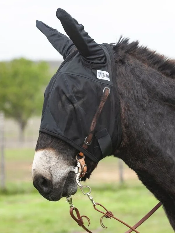 horsesaddleshop202607242044013272546