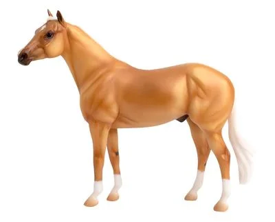 horsesaddleshop202607242050133273529