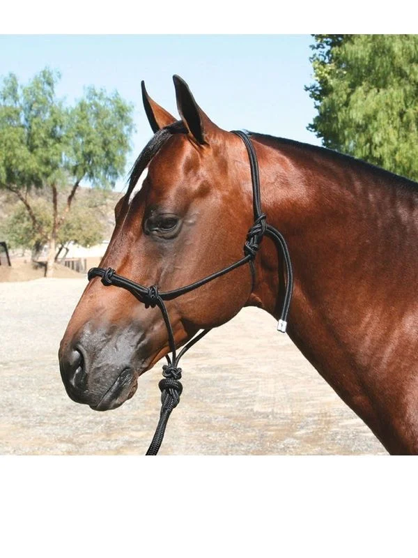 horsesaddleshop202607242116233276946