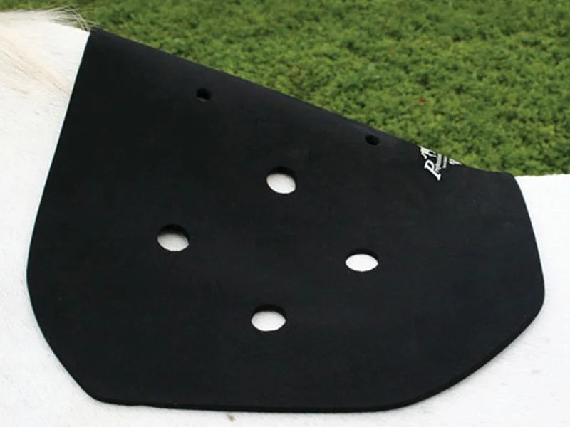 horsesaddleshop202607242154123281700