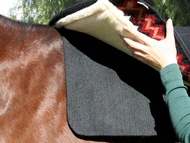 horsesaddleshop202607242200093282423