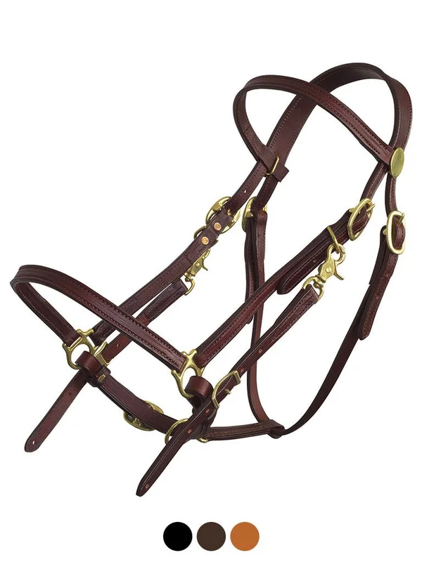 horsesaddleshop202607242200183282442