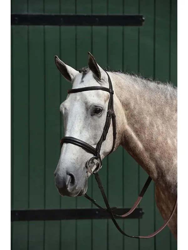 horsesaddleshop202607242222543285023