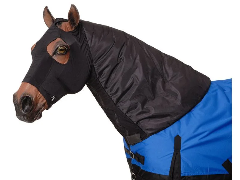 horsesaddleshop202607242301323289152