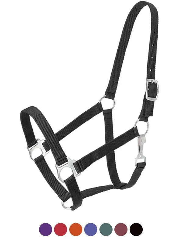 horsesaddleshop202607250150183305478