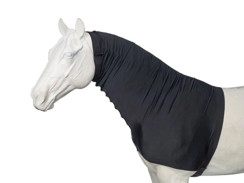 horsesaddleshop202607250151043305567