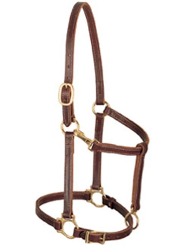 horsesaddleshop202607250155043306052