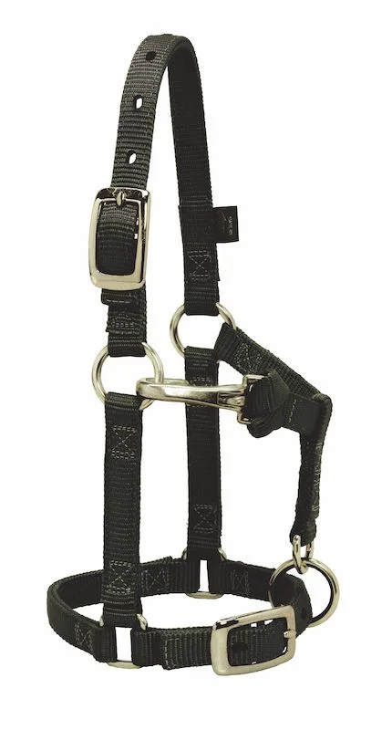horsesaddleshop202607250200033306651