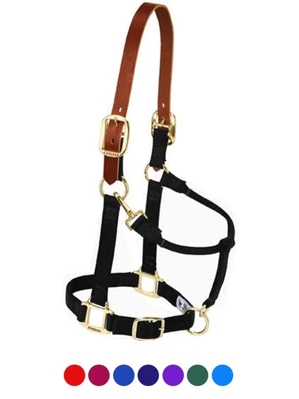 horsesaddleshop202607250203173307039