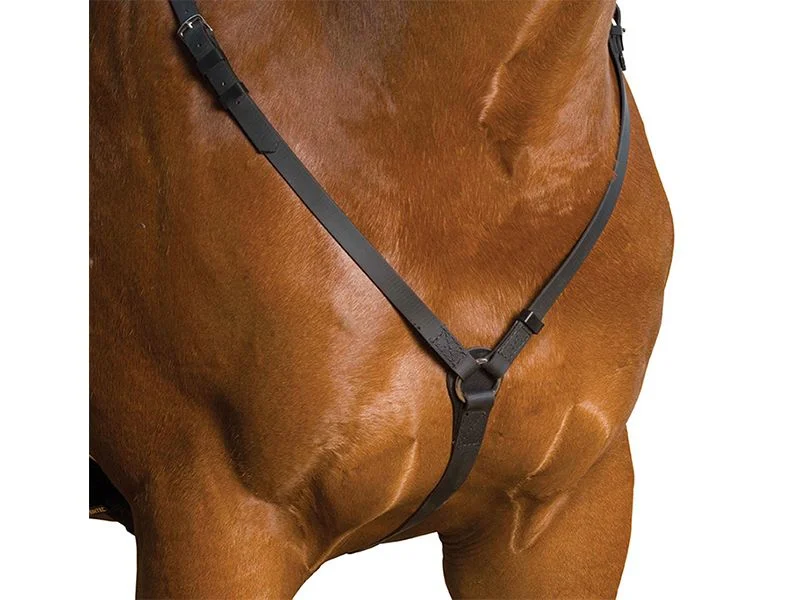 horsesaddleshop202607250204163307154